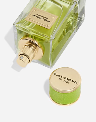 عطر دولتشي غابانا فيلفت موغيتو او دو بارفيوم 100 م...