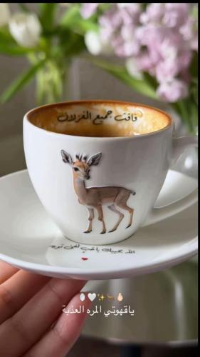 فنجان فاقت جميع الغزالان الاكثر طلبا