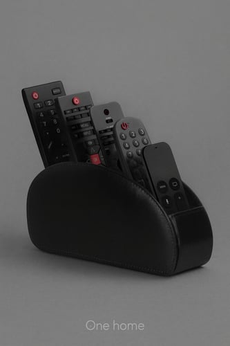 منظم ريموتات جلد