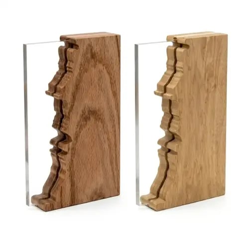 Acrylic or luxurious wood shields