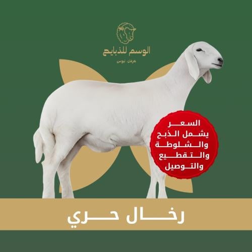 ذبيحة جبر