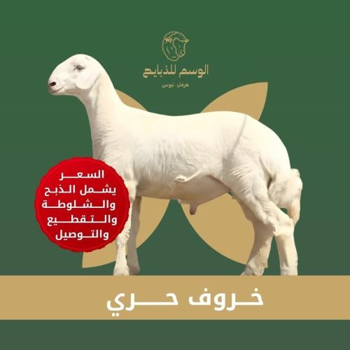 ذبيحة وسط
