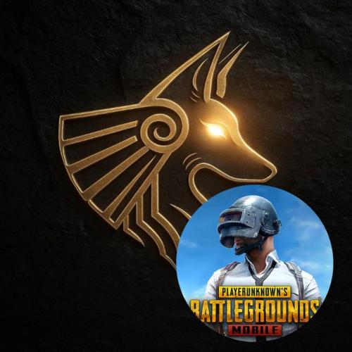 ANUBIS PUBG 7 DAYS