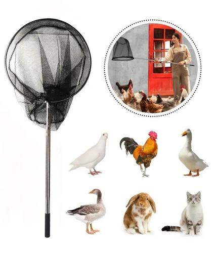 مصيده حمام و دجاج