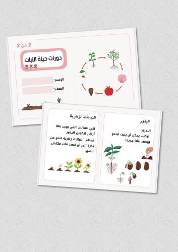 مطوية علوم - ثالث - دورات حياة النبات