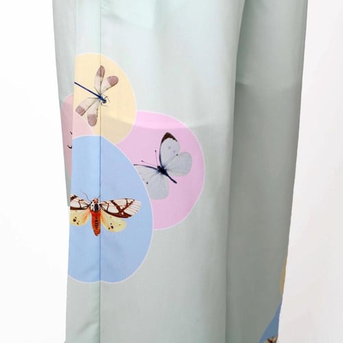 جمبسوت دوائر الفراشات