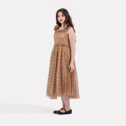 فستان ورودي المخمليه