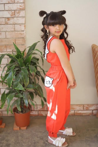 جمبسوت القطه