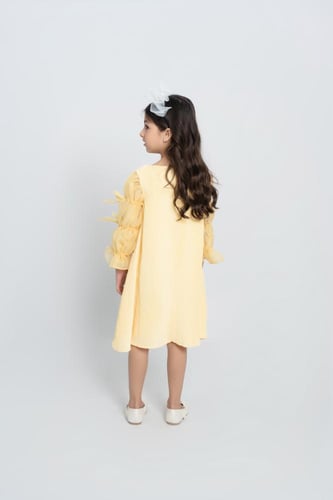 فستان بأكمام منتفخة من الاورجانزا