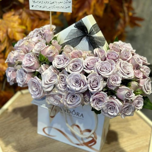 سلسال نسائي لون فضي