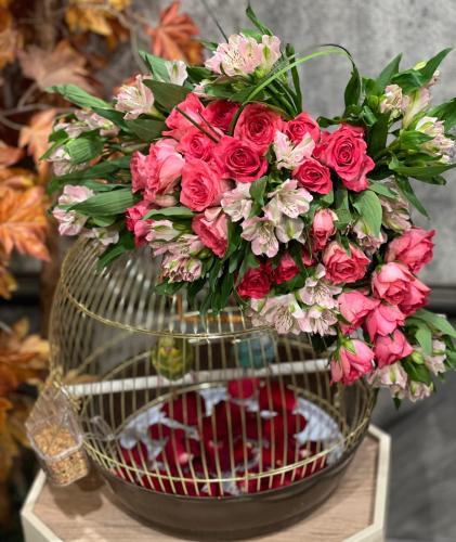 زوج من العصافير في قفص ب ورد بيبي روز مع الاسترومر...