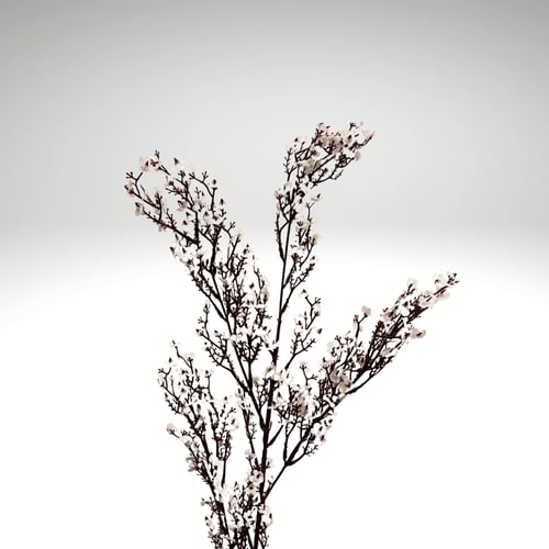 لوحة انسياب