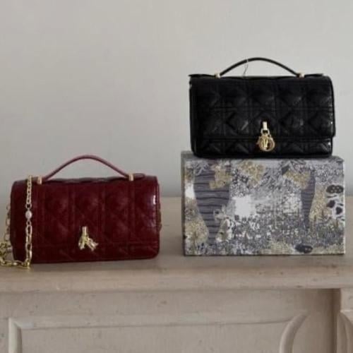 شنطه Dior لامع