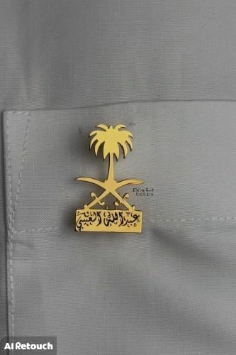 الأكثر فخامة بروش سيفين ونخلة