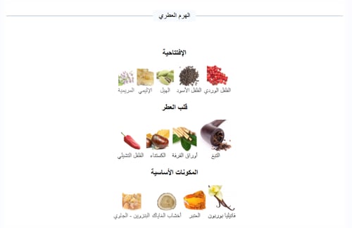 تولة سترونجر وذ يو تباكو من جورجيو أرماني