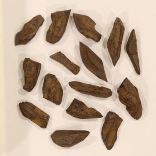 عود سومطري طبيعي محسن