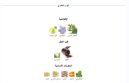 عطر بور هوم من قوتشي