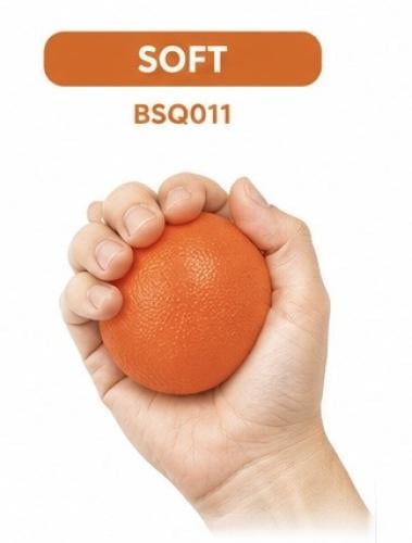 CS-BSQ 011