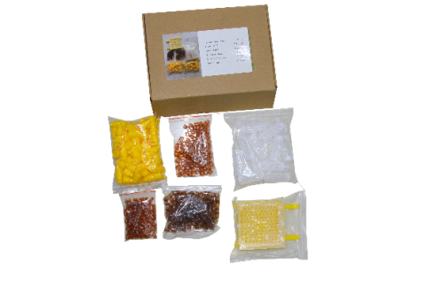 جنتر صيني جديد