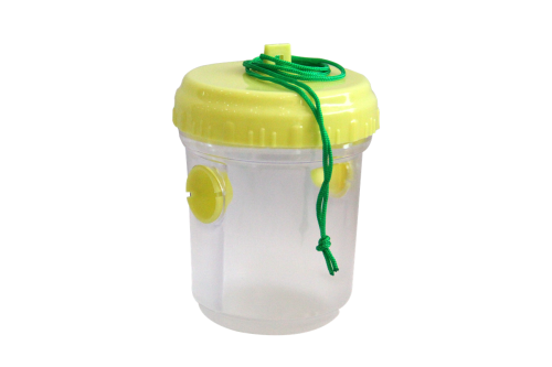 مصيدة دبور اصفر شفاف