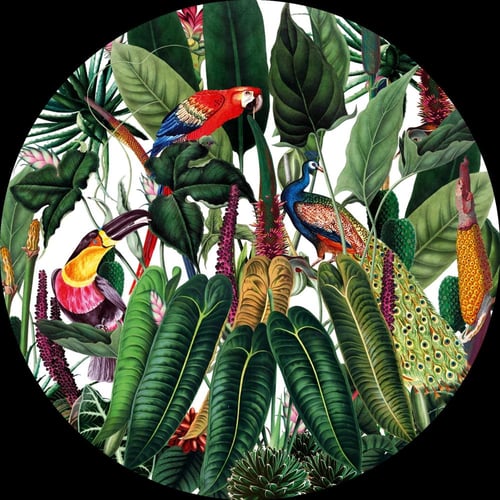 ليزي الغابة الاستوائية حافظة حرارة من السالتس ستيل...