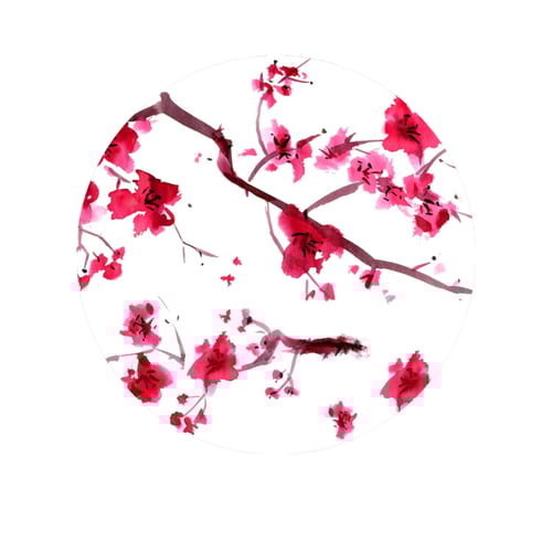 ليزي براعم الكرز حافظة حرارة من السالتس ستيل المزد...