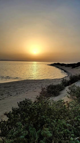 مغامرة مسررى الجزيرة
