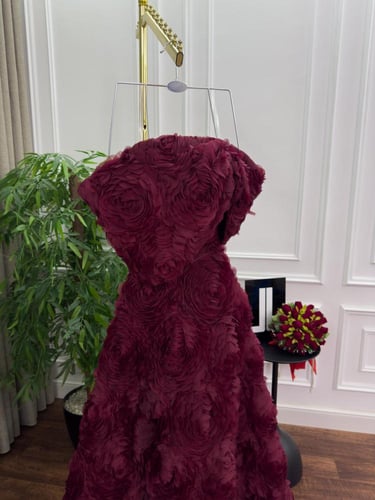 فستان سهره فخم مميز صدر باربي وكلفه ورود الجوري