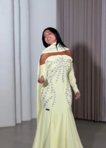 فستان باربي وشيفون المزين بالتطريز اليدوي بشكل اني...