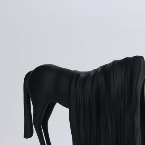 اكسسوار الحصان T1072