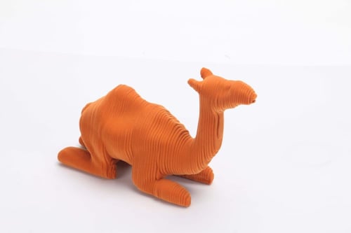 اكسسوار الجمل