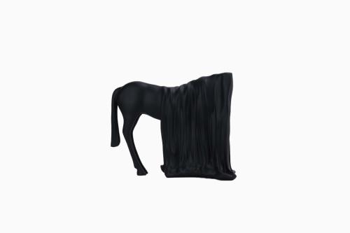 اكسسوار الحصان T1072