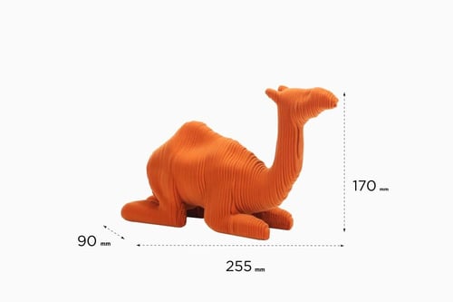 اكسسوار الجمل