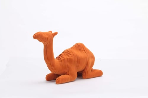 اكسسوار الجمل