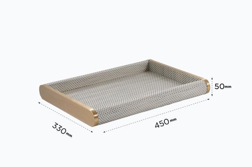 صينية تقديم