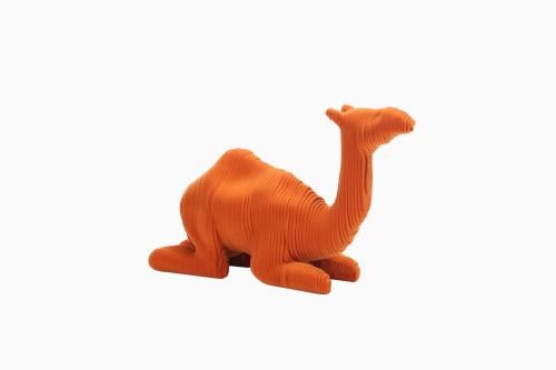 اكسسوار الجمل