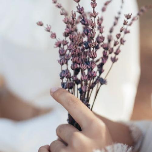جلسة علاج شعوري ساعه