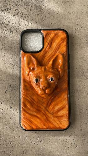 Sphynx cat