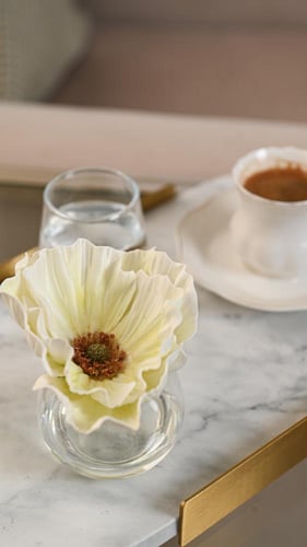 زهرة كبيرة أبيض