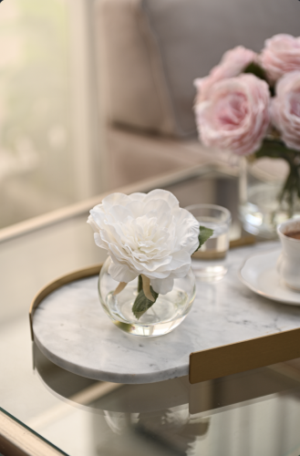 بيونيا أبيض | ملمس طبيعي