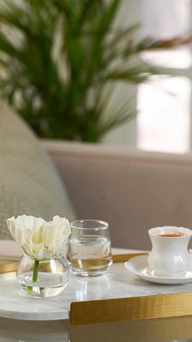 زهرة كبيرة أبيض