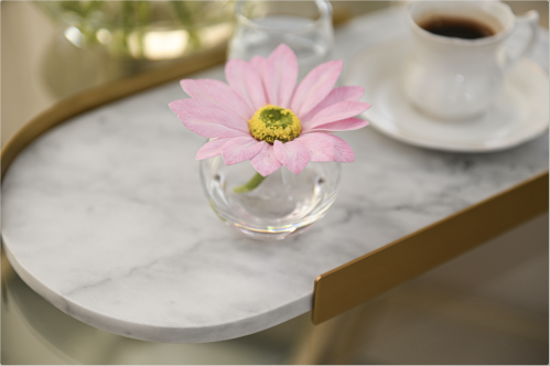 فازة أقحوان زهري