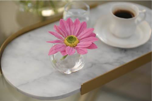 فازة أقحوان فوشي