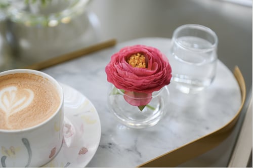 راننكولوس