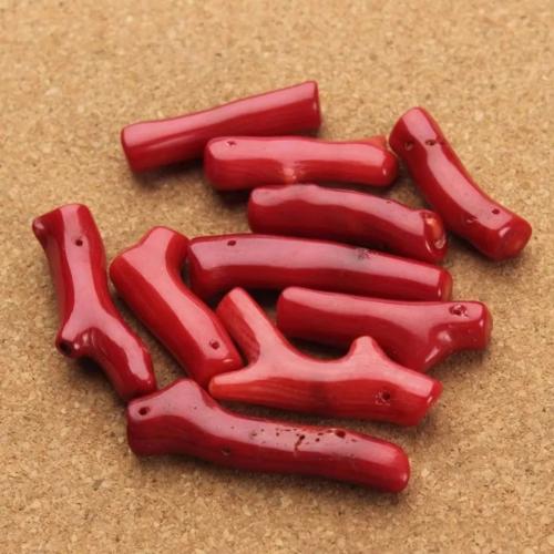 عروق مرجان طبيعي