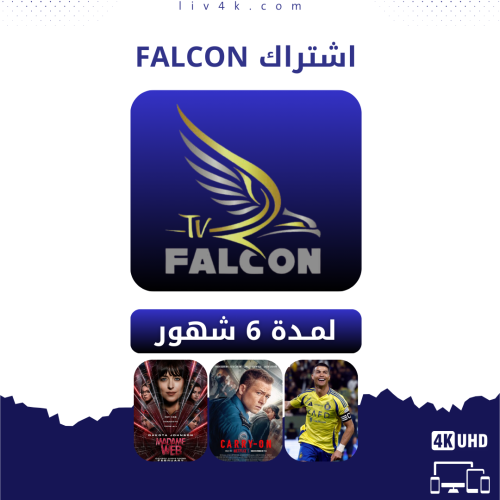 اشتراك فالكون 6 شهور - FALCON