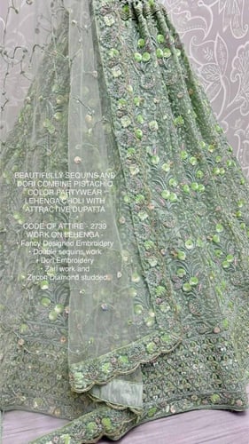 فستان هندي فخم بلون الفستق المطرز