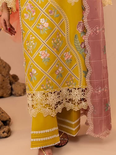 إشراقة الشمس أصفر ملكي