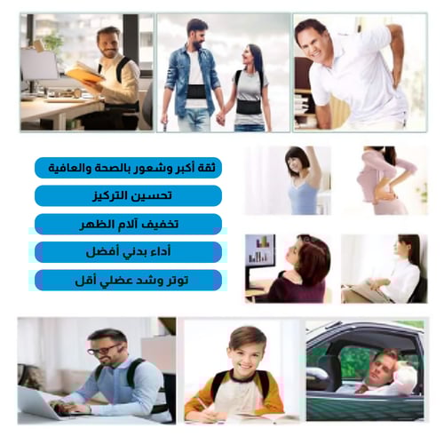 حزام الظهر كامل رويال سابورت