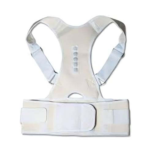 حزام الظهر كامل رويال سابورت